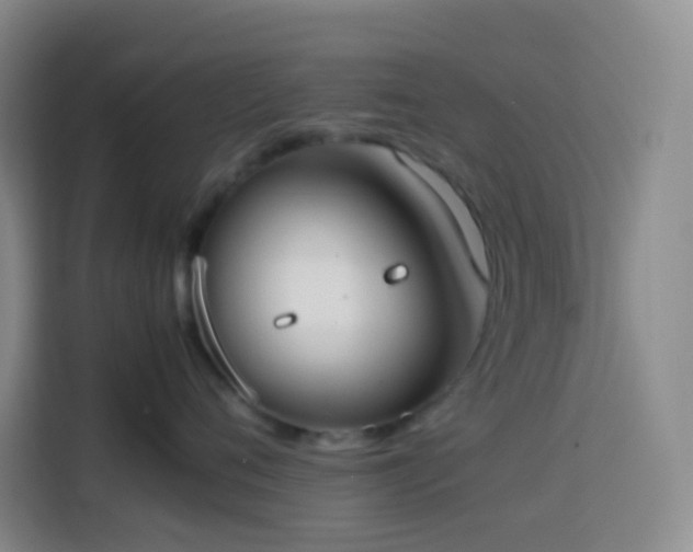 X0000113850720200910011001