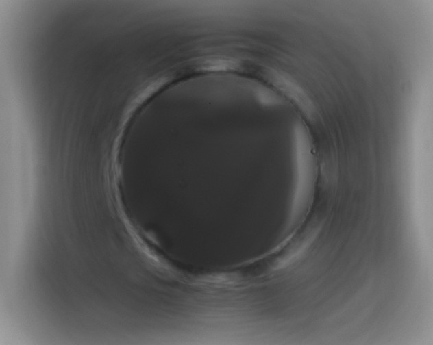 X0000113850721200910011000