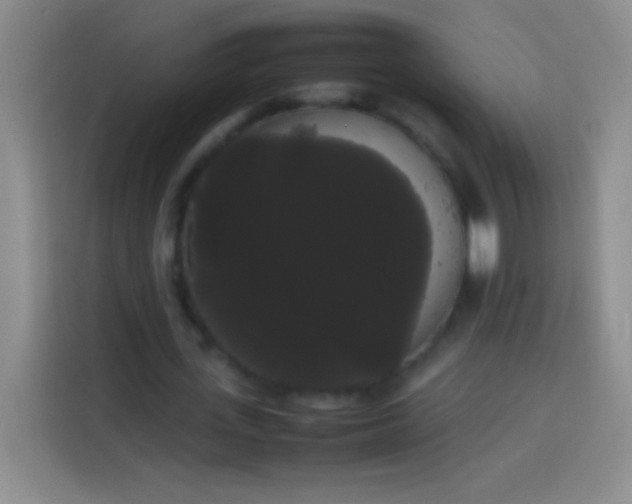 X0000113850723200910011000