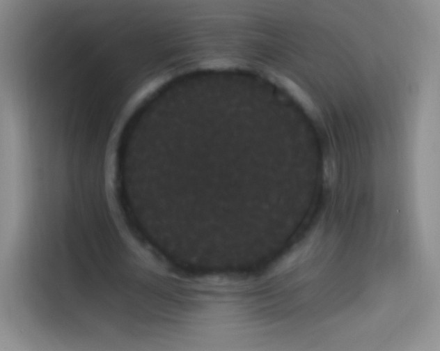 X0000113850724200910011000