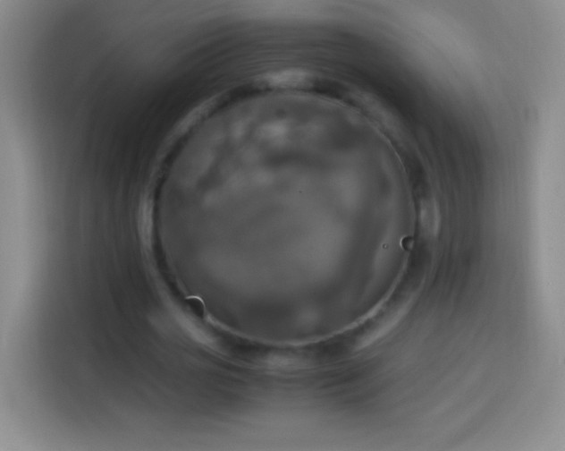 X0000113850725200910011000