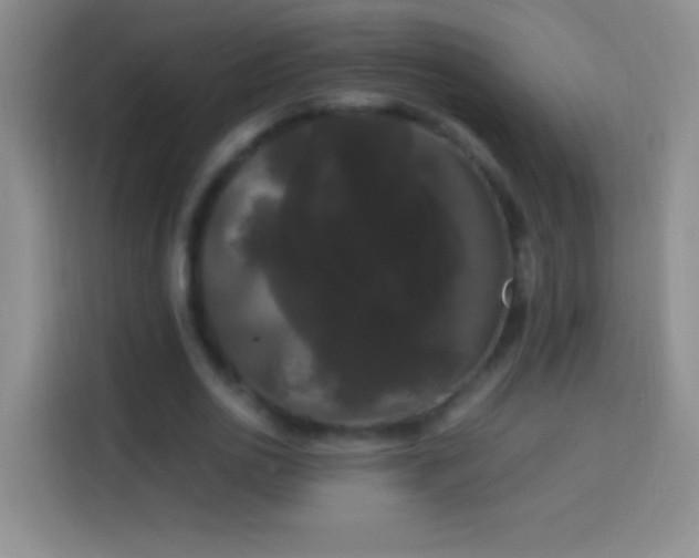 X0000113850726200910011000