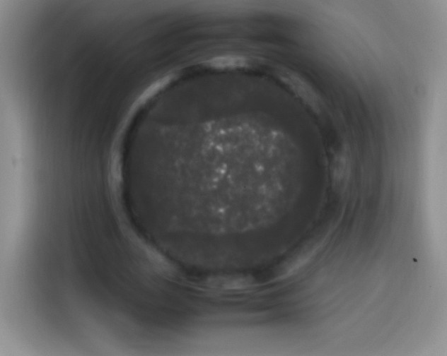 X0000113850727200910011000