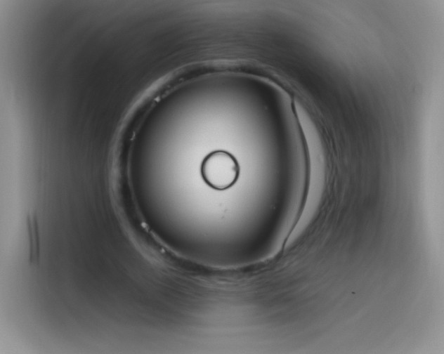 X0000113850728200910011000