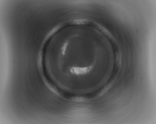 X0000113850730200910011000