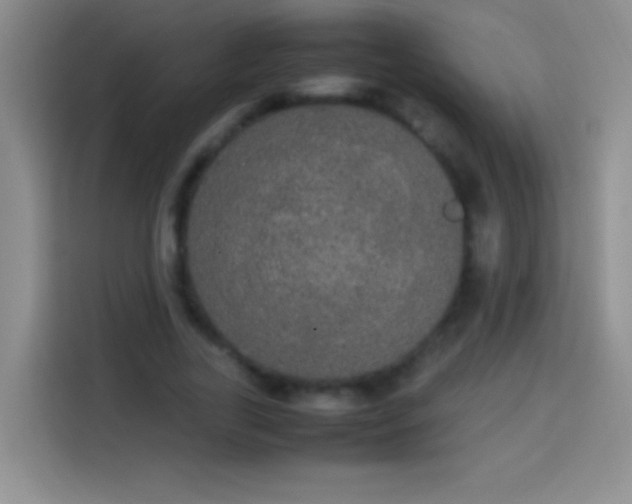 X0000113850731200910011000