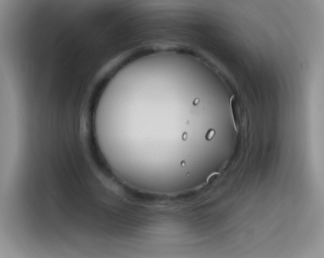 X0000113850732200910011000