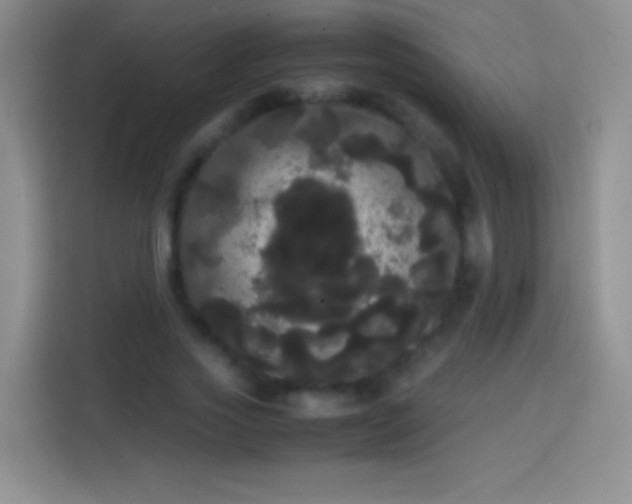 X0000113850733200910011000