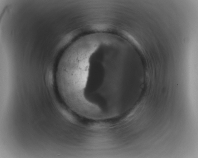 X0000113850734200910011000