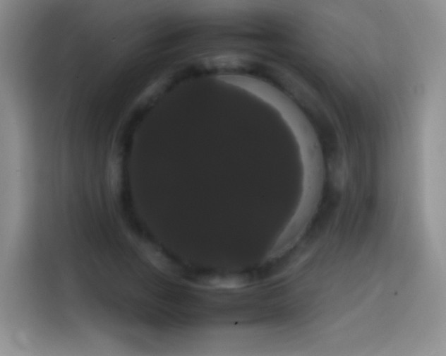 X0000113850735200910011000