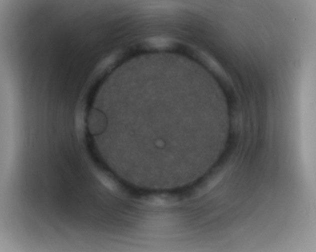 X0000113850736200910011000