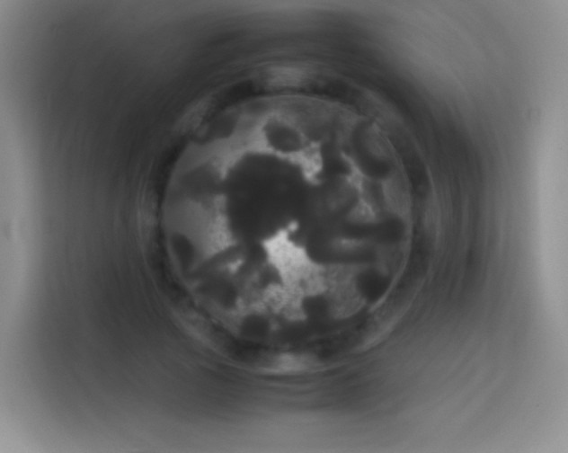 X0000113850737200910011000