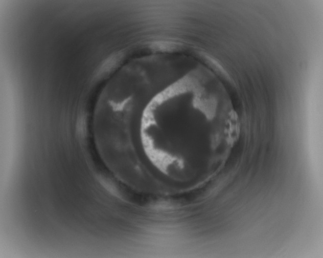 X0000113850738200910011000