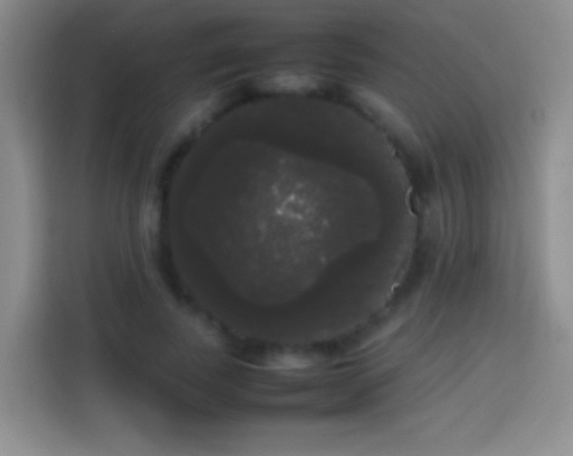 X0000113850739200910011000