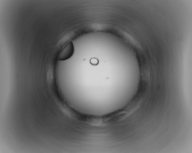 X0000113850740200910011000