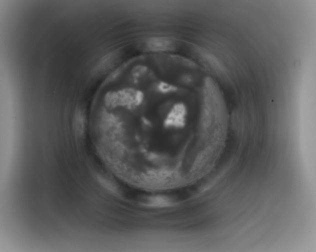 X0000113850741200910011000