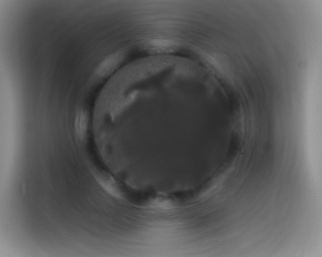 X0000113850742200910011000