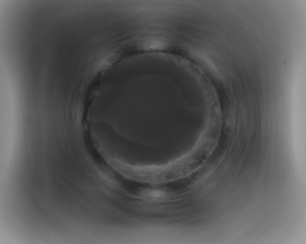 X0000113850743200910011000