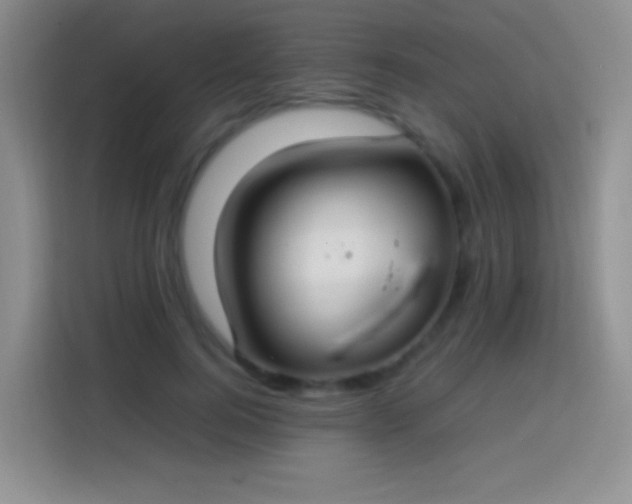 X0000113850744200910011000