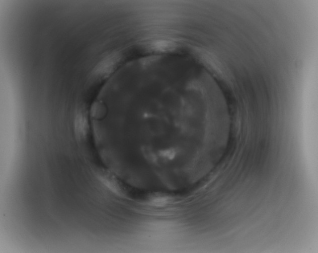 X0000113850746200910011000