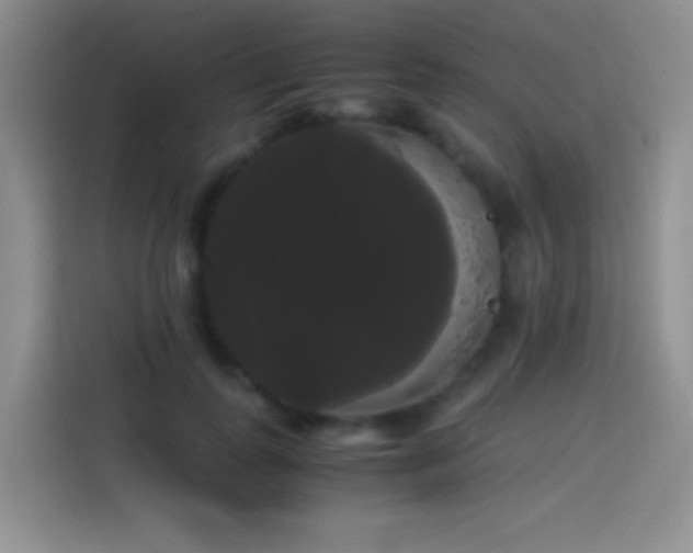 X0000113850747200910011000