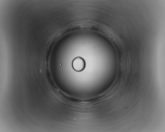 X0000113850748200910011000