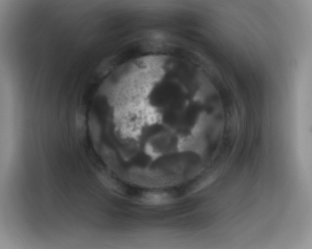 X0000113850749200910011000