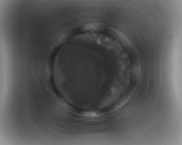 X0000113850751200910011000