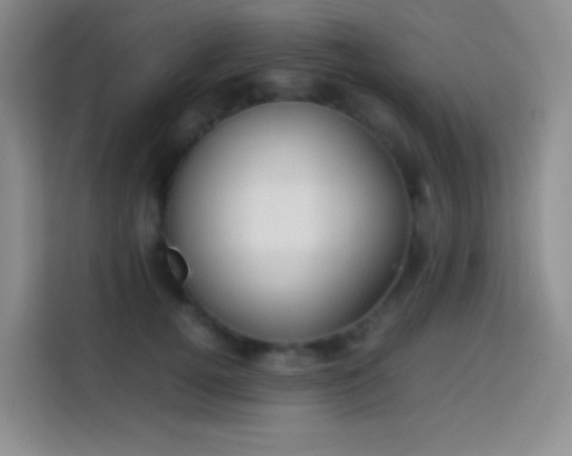 X0000113850752200910011000