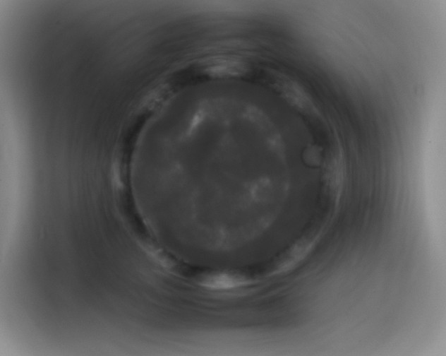 X0000113850755200910011000