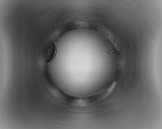 X0000113850756200910011000