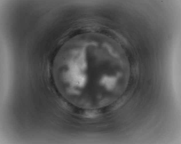 X0000113850757200910011000