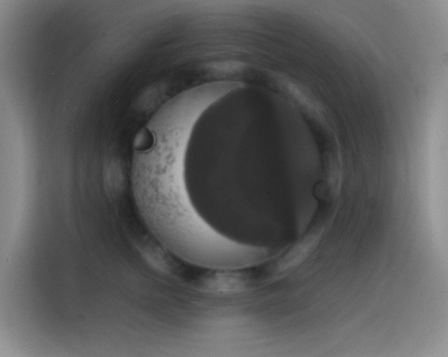 X0000113850758200910011000