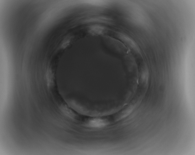 X0000113850759200910011000