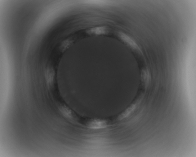 X0000113850760200910011001