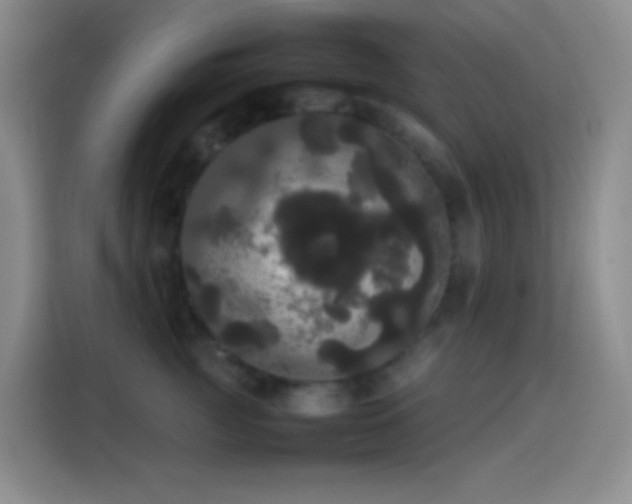 X0000113850761200910011001