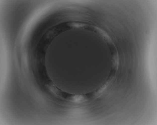 X0000113850762200910011001