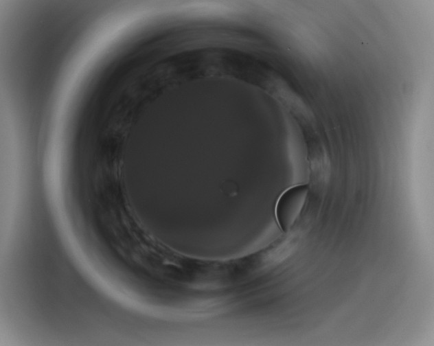 X0000113850765200910011001