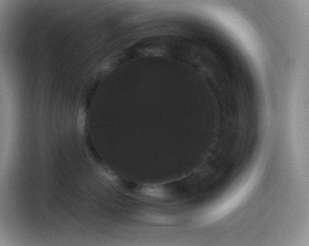 X0000113850767200910011001