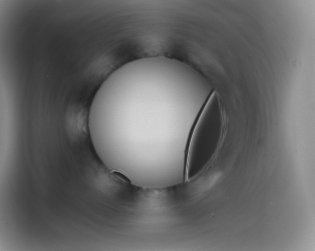 X0000113850768200910011001