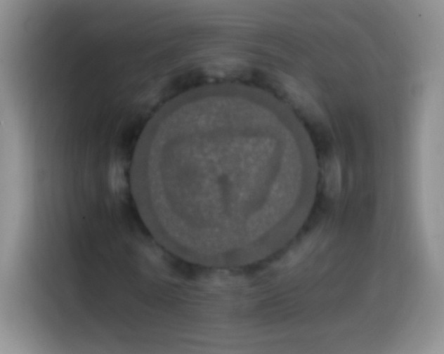 X0000113850770200910011000