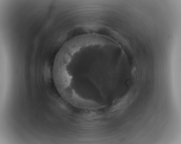 X0000113850772200910011000