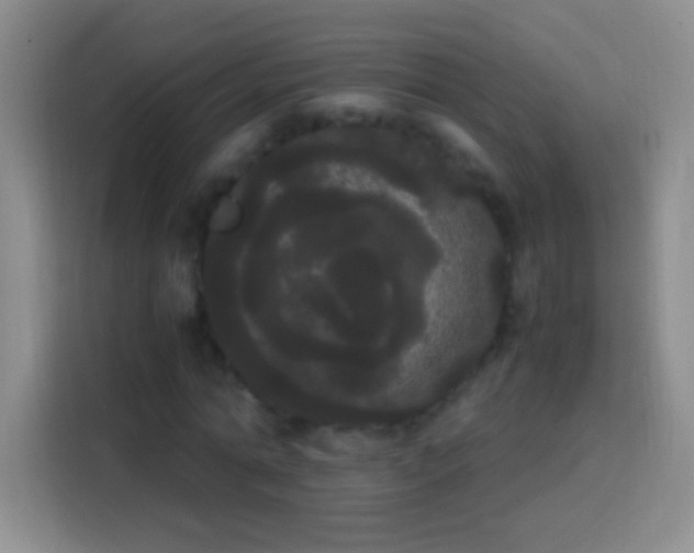 X0000113850774200910011000