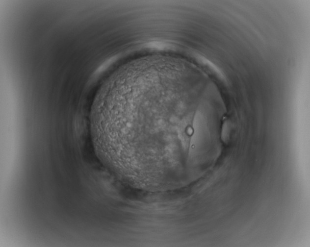 X0000113850776200910011000