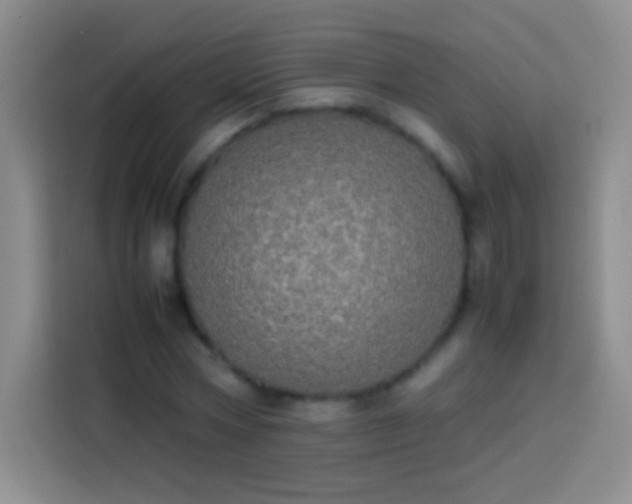 X0000113850778200910011000