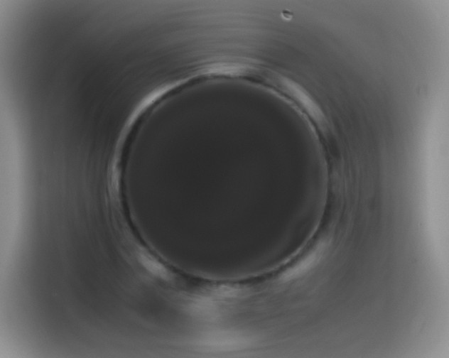 X0000113850779200910011000