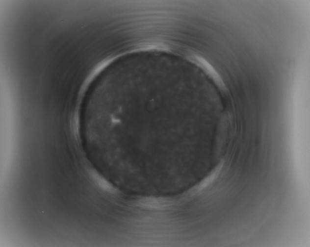 X0000113850780200910011000