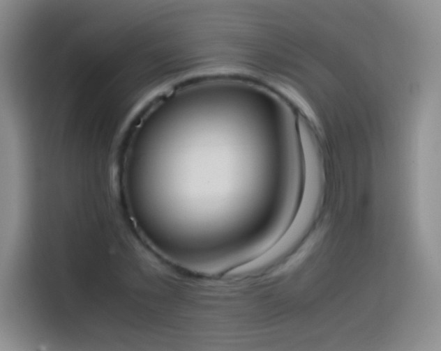 X0000113850781200910011000