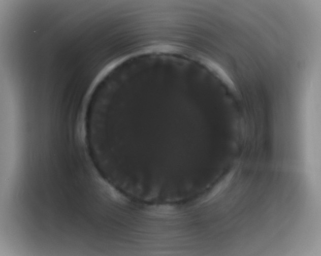 X0000113850784200910011000