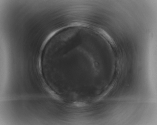 X0000113850788200910011000